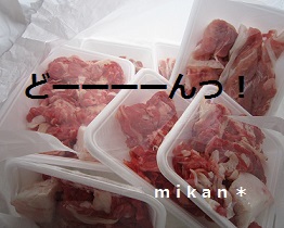 肉いっぱい.jpg